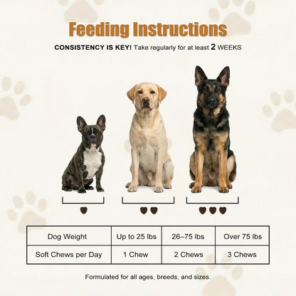 Complete Dog Health Bundle – Multivitamin, Joint Support & Probiotics Soft Chews for Skin Coat, Hip Joint, Digestive & Immune Support