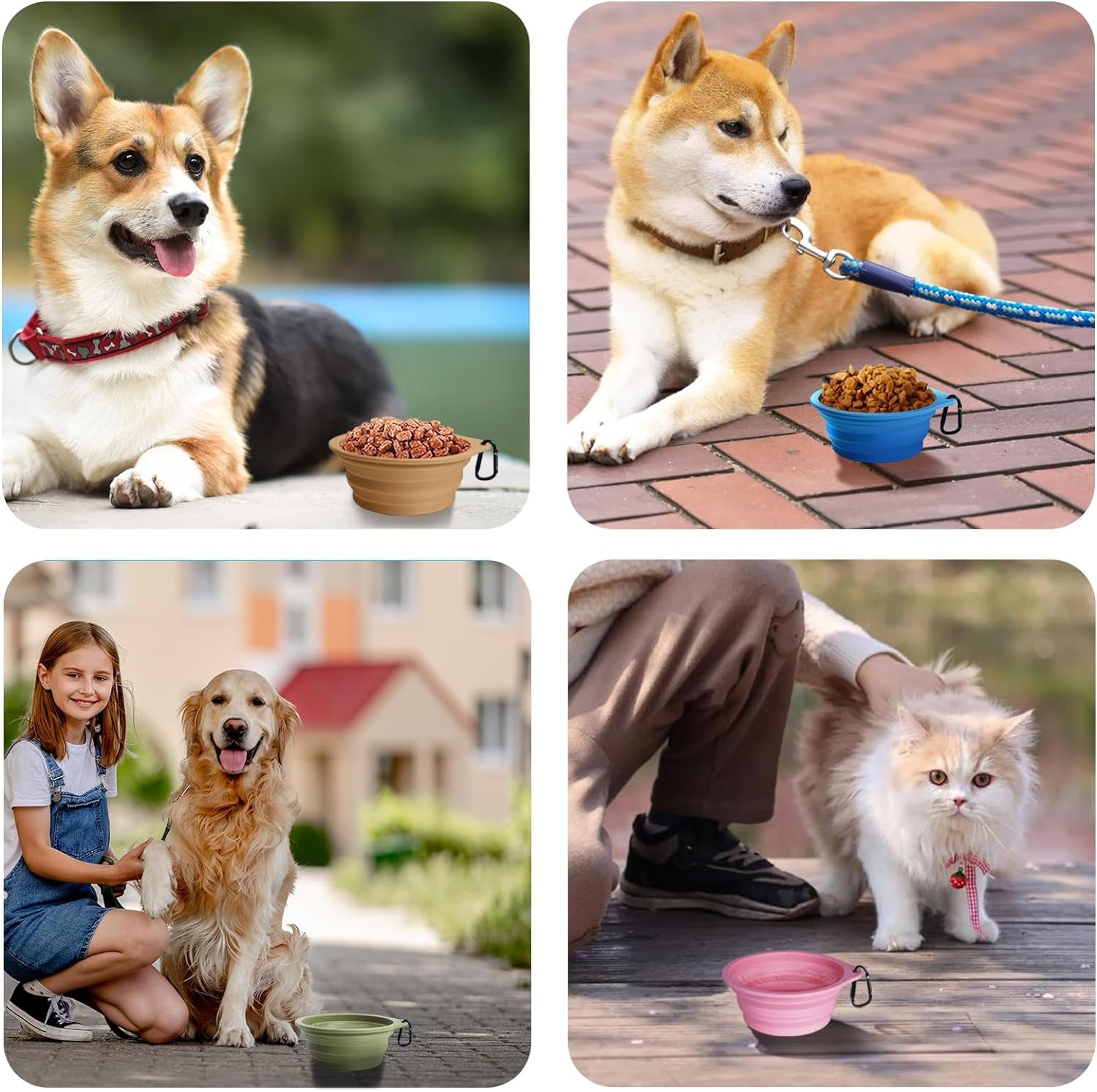 Petbonus 2-Pack Silicone Collapsible Dog Bowls, BPA Free Dishwasher Safe, Portable Foldable Expandable Travel Bowl, Food Water Feeding Cup Dish for Dogs Cats with 2 Carabiners (Purple, Pink)